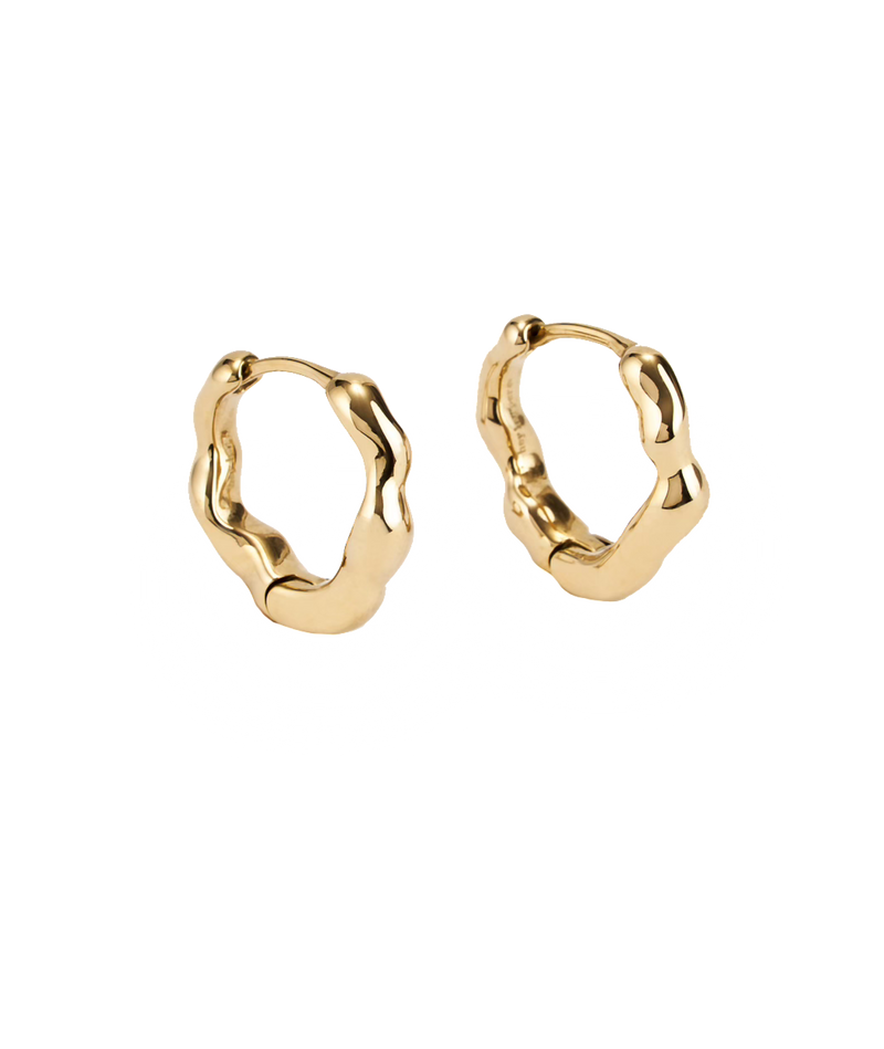 Dazzling Small Earrings