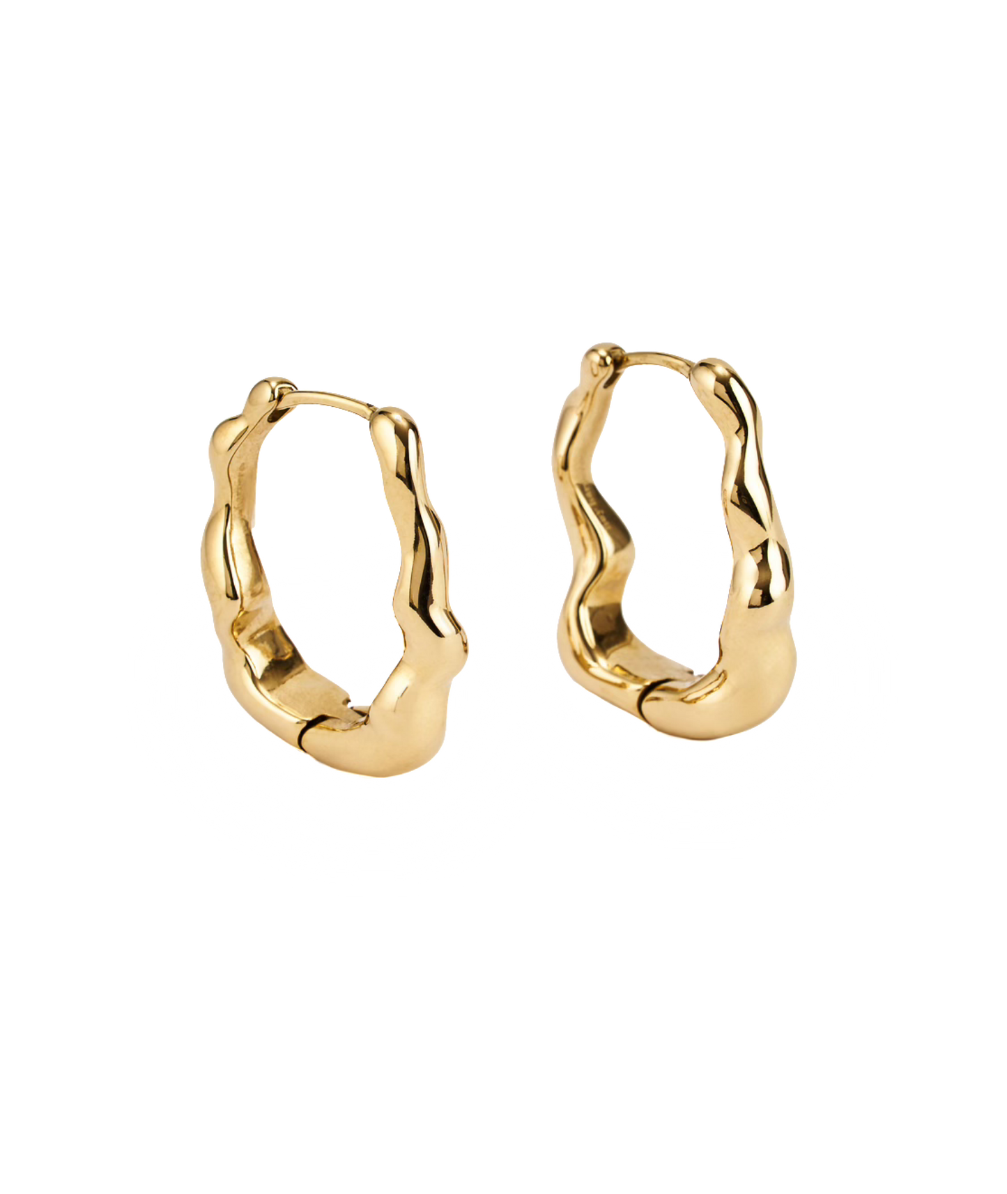 Dazzling Long Earrings