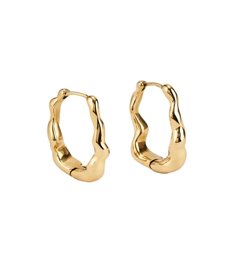 Dazzling Long Earrings