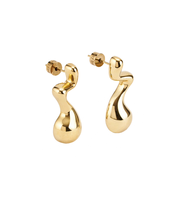 Dazzling Drop Earrings