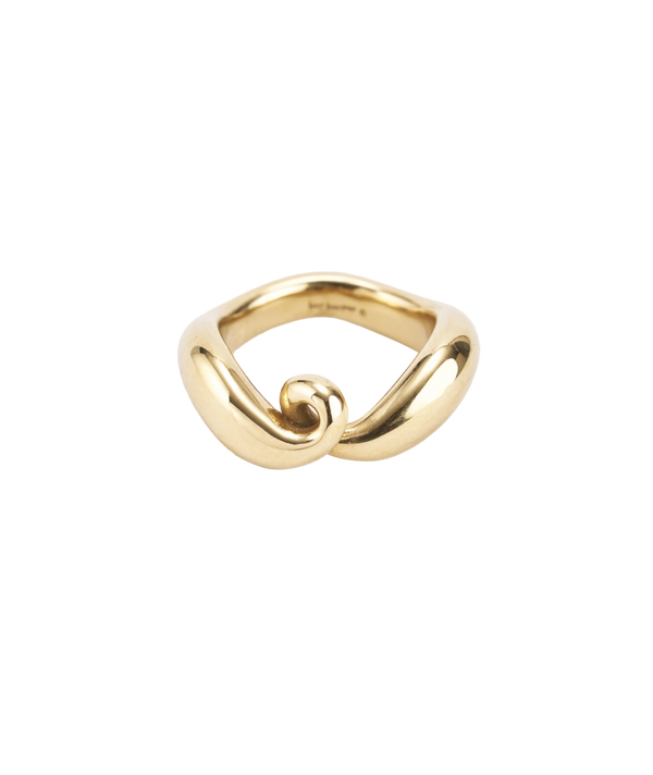 Flow Loop Ring