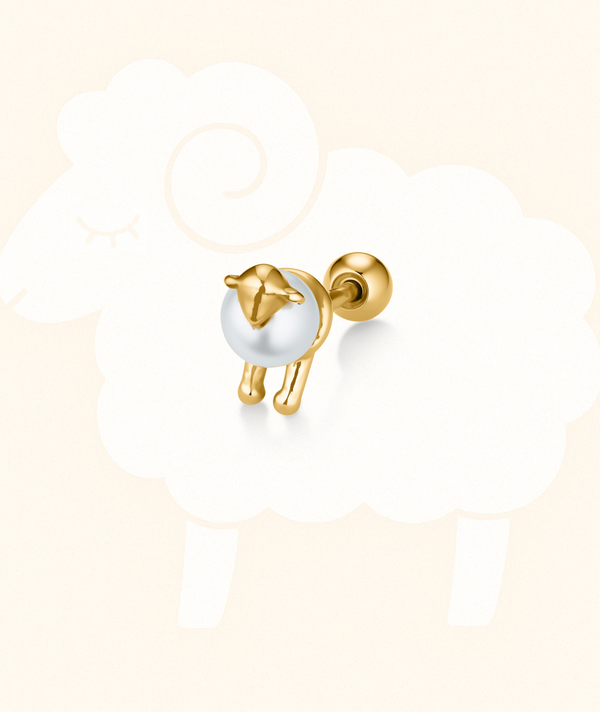 Sheep Stud