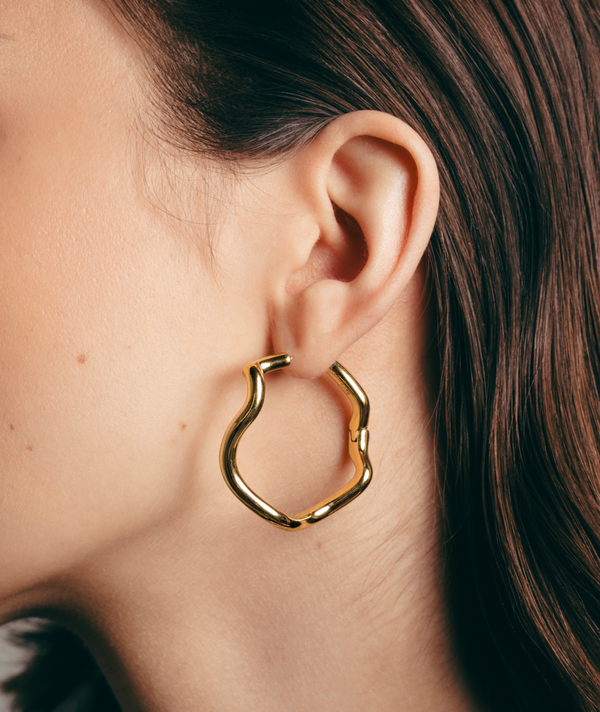 Dazzling 2 Earrings