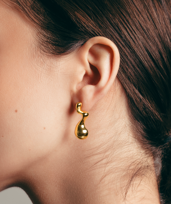 Dazzling Drop Earrings