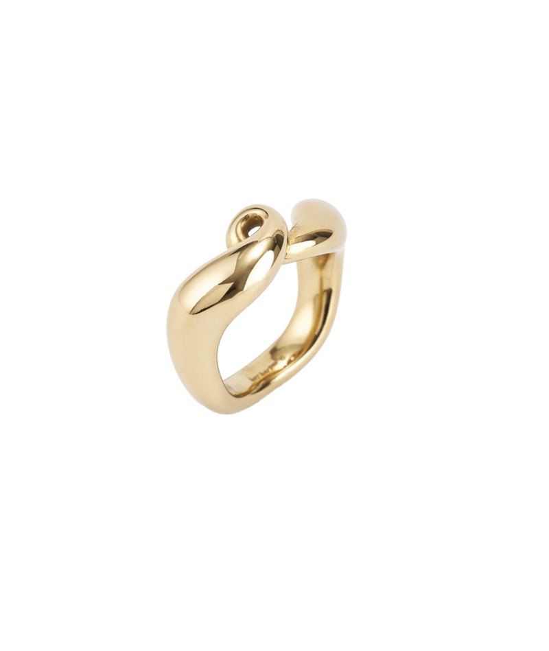 Flow Loop Ring