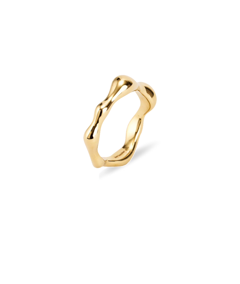 Dazzling 2 Ring