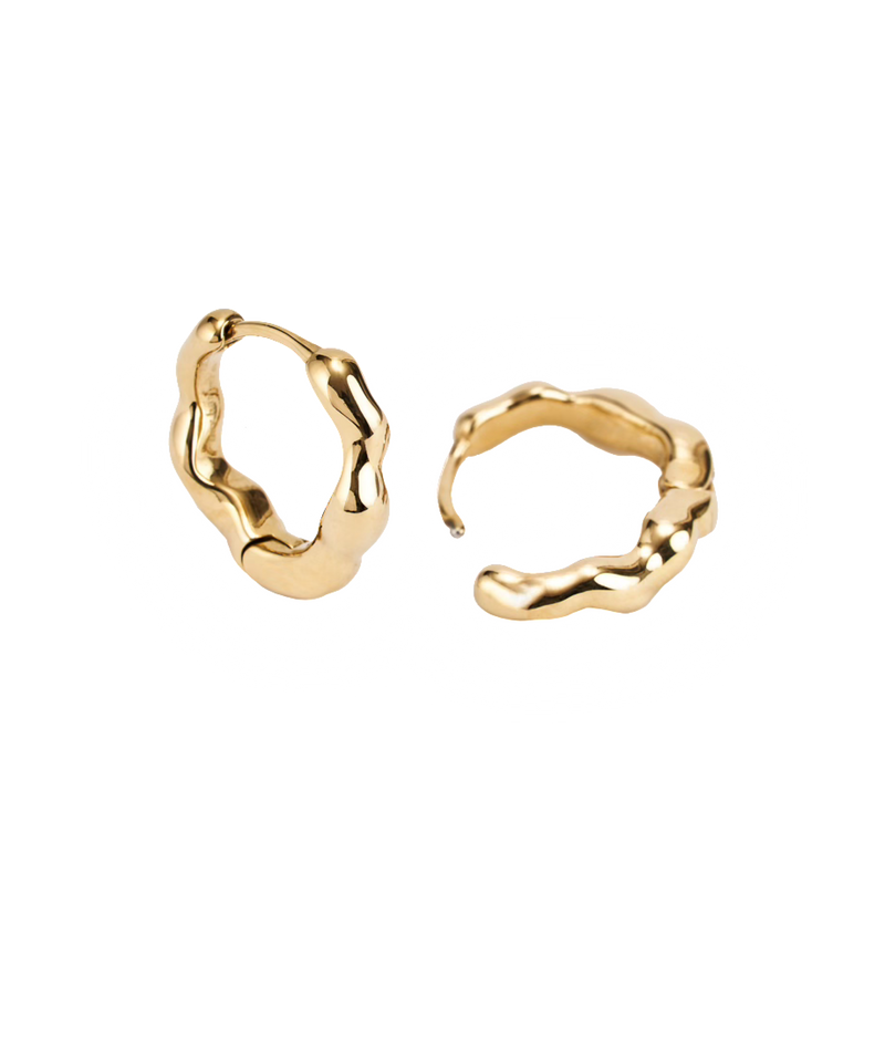 Dazzling Small Earrings