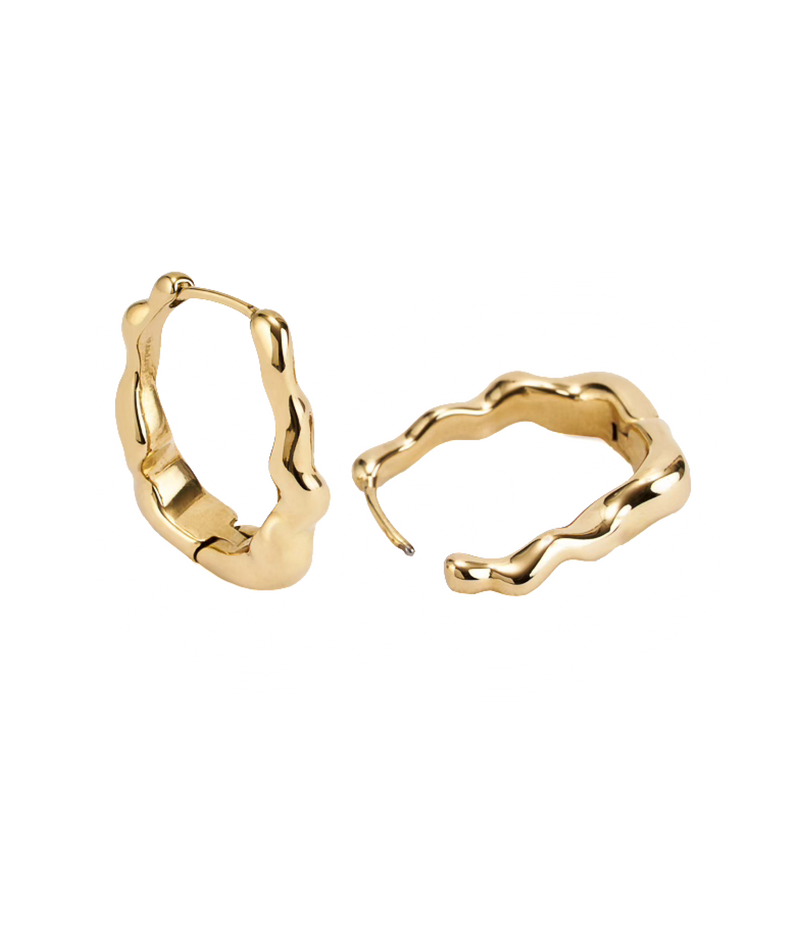 Dazzling Long Earrings