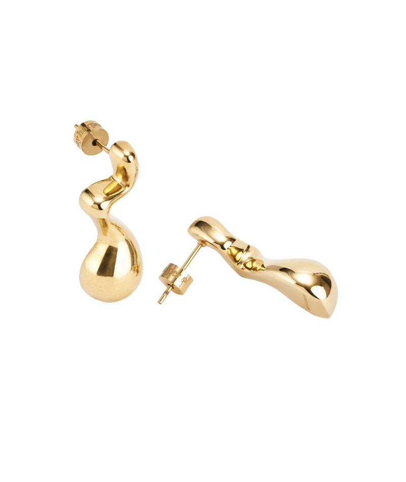 Dazzling Drop Earrings