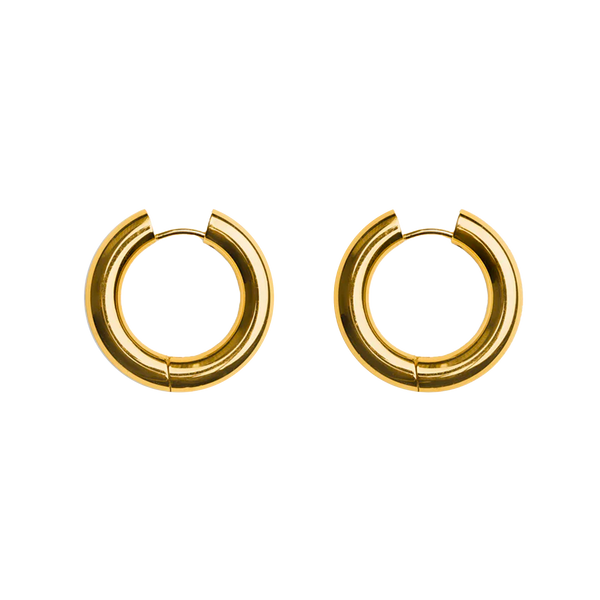 Chunky Nicole Earrings (6585810813041)