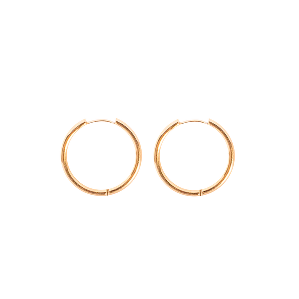 Large Hoop Earrings (4168950055025)