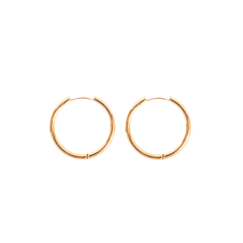 Large Hoop Earrings (4168950055025)