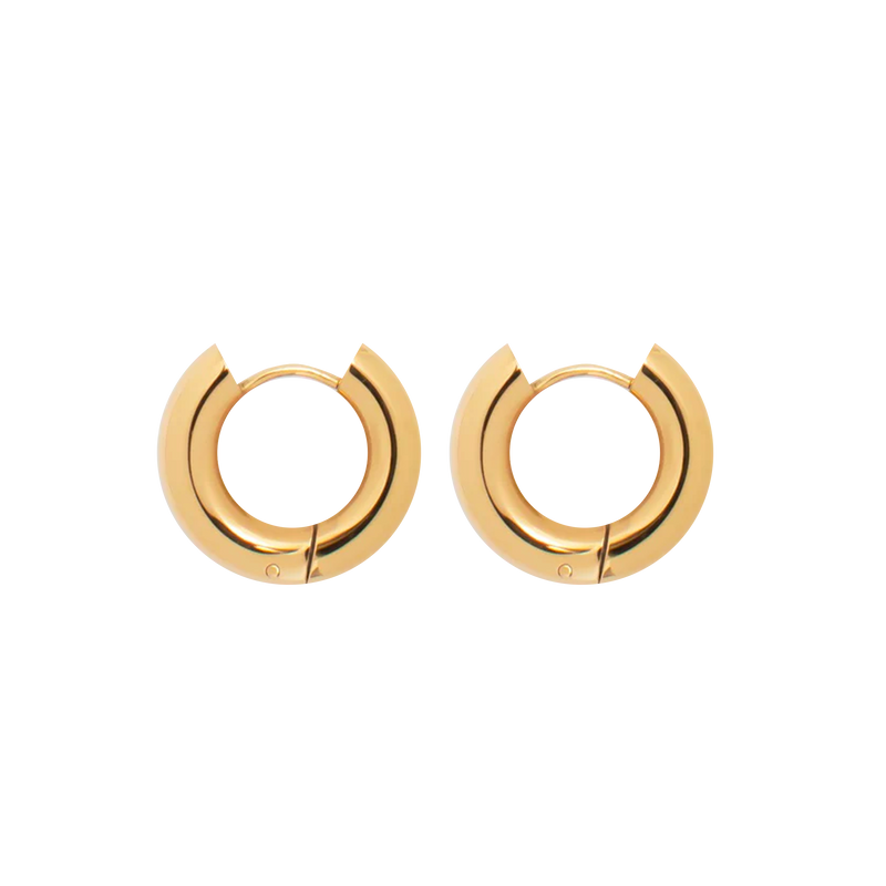 Nicole Hoop Earrings (2244001398897)