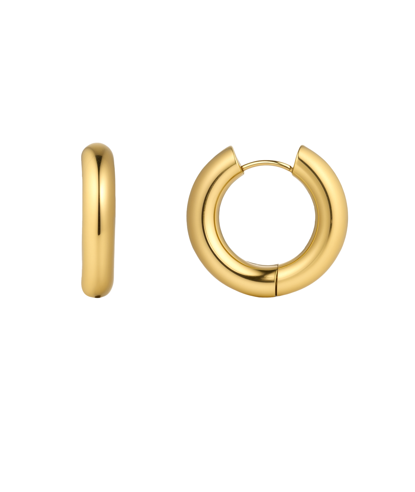 Chunky Nicole Earrings