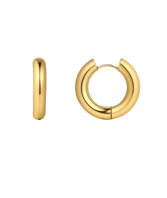 Chunky Nicole Earrings