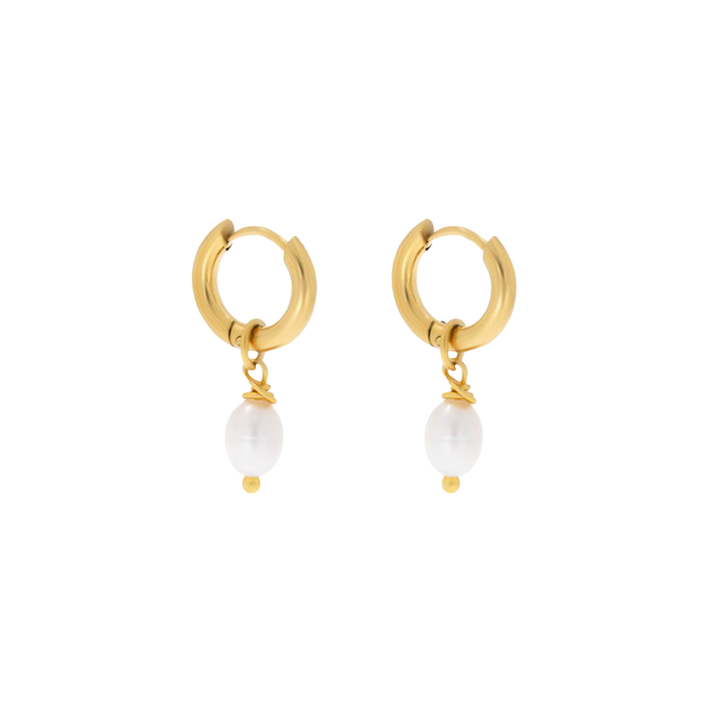 Camila Earrings (6701251952753)