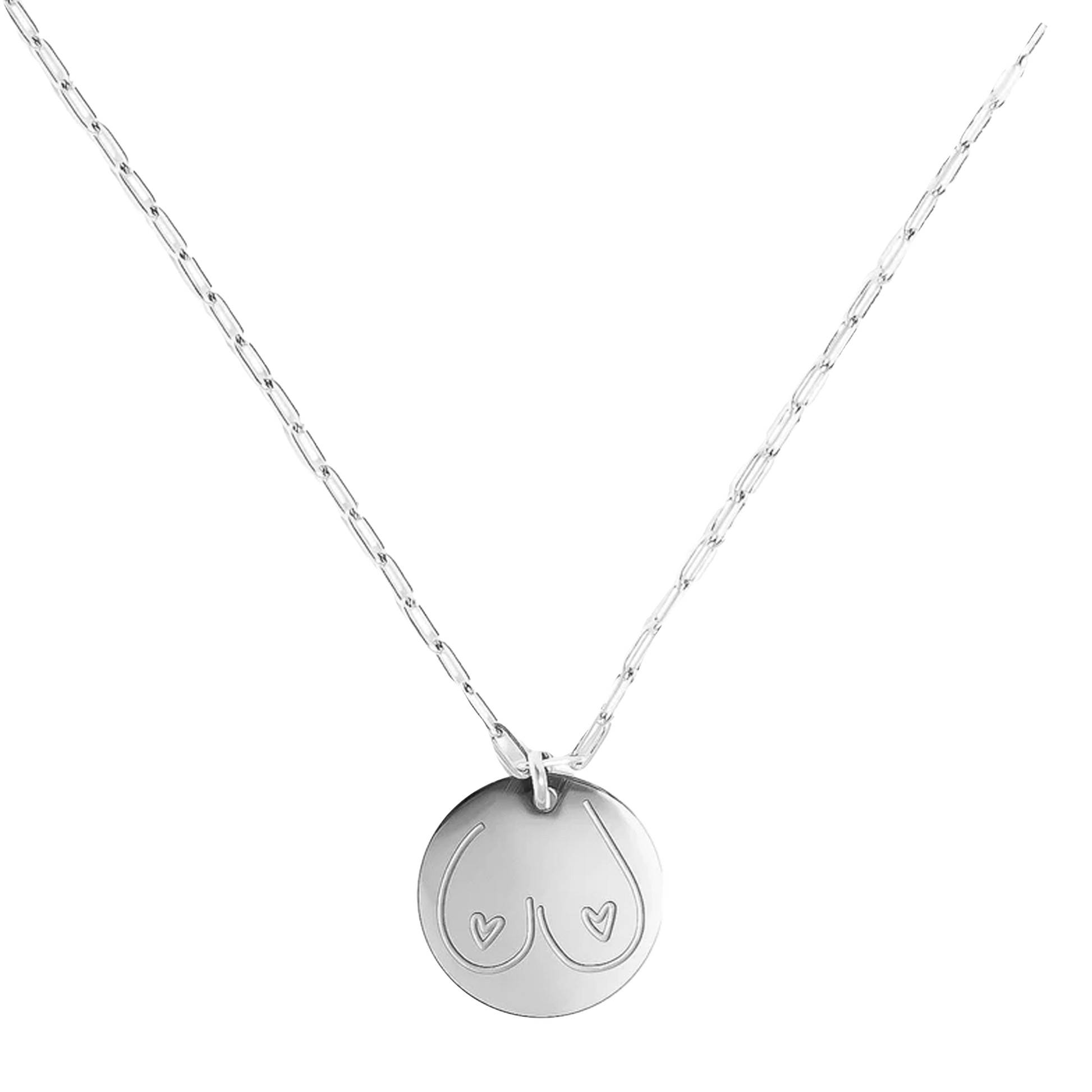 The Twins Silver Necklace (6577685463153)
