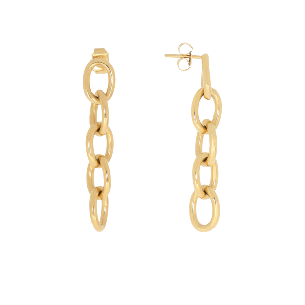 Chain Earrings (6616146083953)